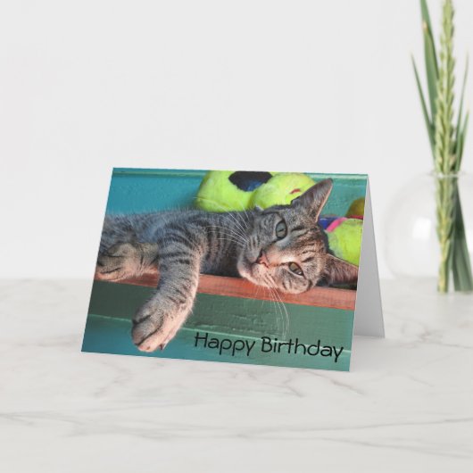 Cat Liebe "Happy Birthday" Karte (Vorderseite)