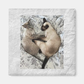 Cat-Liebe Magnet (Vorne)