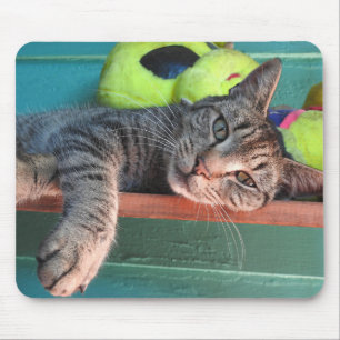 Cat-Liebe Mousepad