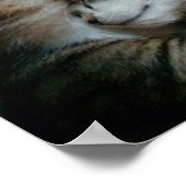 Cat-Liebe Poster (Ecke)