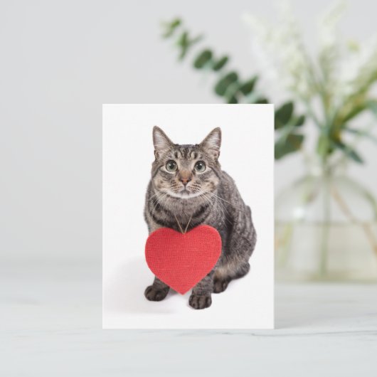Cat-Liebe Postkarte (Stehend Vorderseite)