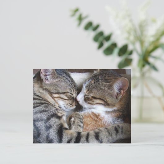 Cat Liebe Postkarte (Stehend Vorderseite)