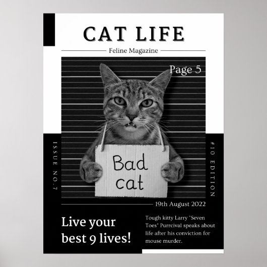 CAT LIFE-Magazin Poster (Vorne)