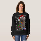Cat Lights Ugly Kitten Weihnachtsmannmütze Weihnac Sweatshirt (Vorne ganz)