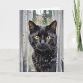 Cat Looking Out of a Net Window Karte (Vorderseite)