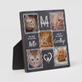 Cat Loss Einmaliges Pet-Memorandum Fotoplatte (Vorderseite)