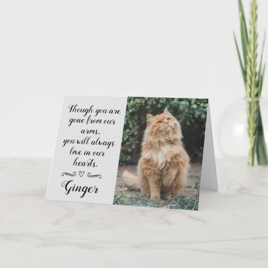 Cat Loss Sympathy Card Personalized Photo Pet Name Karte (Vorderseite)