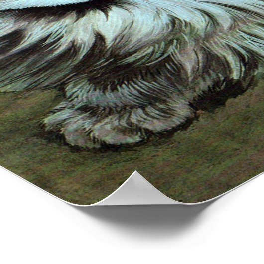 Cat, Louis Wain Poster (Ecke)