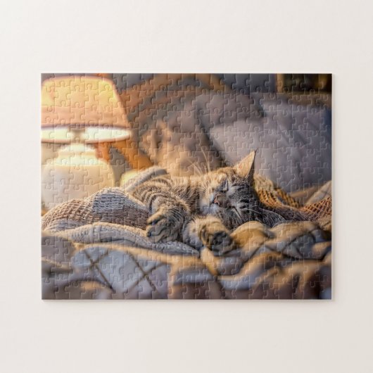 Cat lounging on couch with blanket and lamp puzzle (Horizontal)