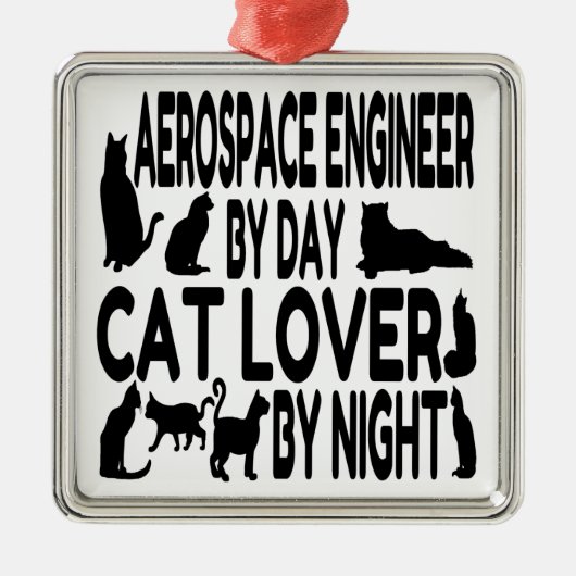 Cat Lover Aerospace Engineer Silbernes Ornament (Vorne)