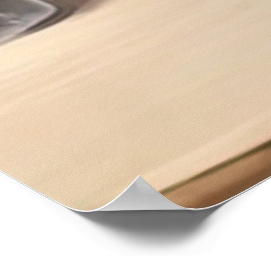 Cat Lover, Cat Architect Poster (Ecke)