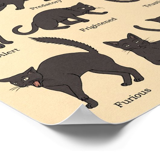 Cat Lover Cats Körpersprache Poster (Ecke)