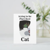 Cat Lover Funny Postkarte (Stehend Vorderseite)
