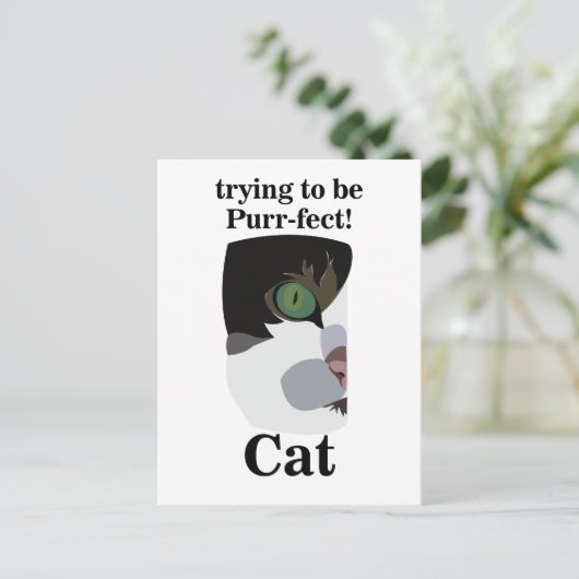 Cat Lover Funny Postkarte (Stehend Vorderseite)
