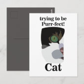 Cat Lover Funny Postkarte (Vorne/Hinten)