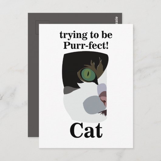 Cat Lover Funny Postkarte (Vorne/Hinten)