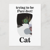 Cat Lover Funny Postkarte (Vorderseite)