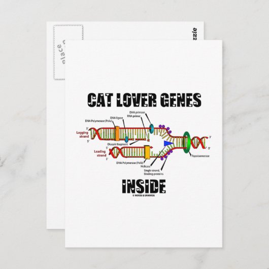 Cat Lover Gene Inside (DNA-Replikation) Postkarte (Vorne/Hinten)