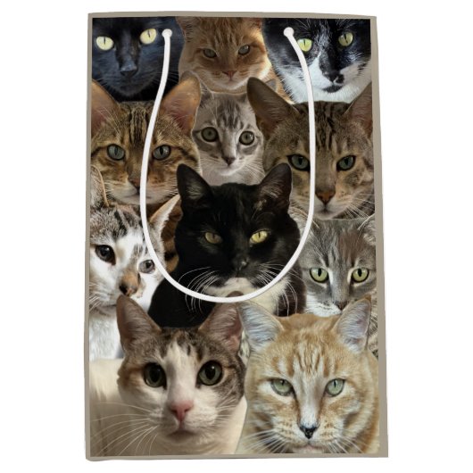 Cat Lover Geschenktasche Mittlere Geschenktüte (Vorderseite)