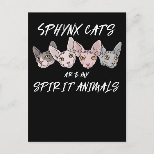 Cat Lover Gift Spirit Animal Sphynx Cat Postkarte (Vorderseite)