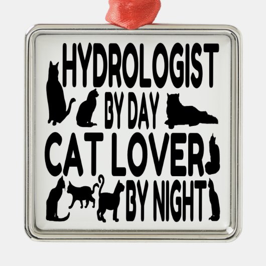 Cat Lover Hydrologist Silbernes Ornament (Vorne)