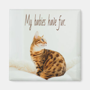 Cat Lover, Niedlich Kitten Meme, meine Babys haben Magnet