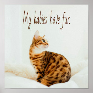 Cat Lover, Niedlich Kitten Meme, meine Babys haben Poster