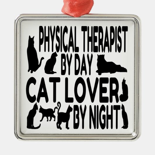 Cat Lover Physiotherapeut Silbernes Ornament (Vorne)