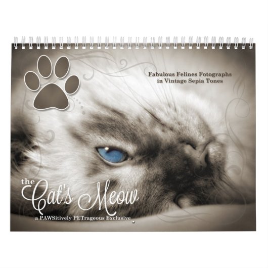 Cat Lover the Cat's Meow 12 Monate Kalender (Titelbild)