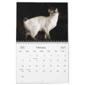 Cat Lover the Cat's Meow 12 Monate Kalender (Feb 2027)