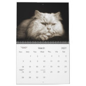 Cat Lover the Cat's Meow 12 Monate Kalender (Mär 2027)