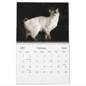 Cat Lover the Cat's Meow 12 Monate Kalender (Feb 2026)