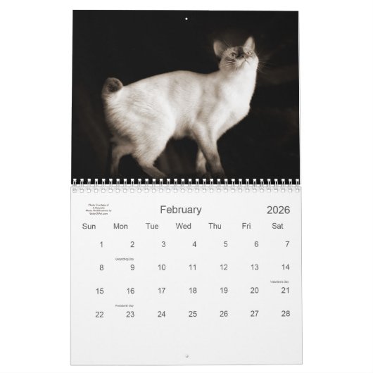 Cat Lover the Cat's Meow 12 Monate Kalender (Feb 2026)