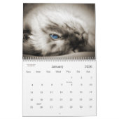 Cat Lover the Cat's Meow 12 Monate Kalender (Jan 2026)
