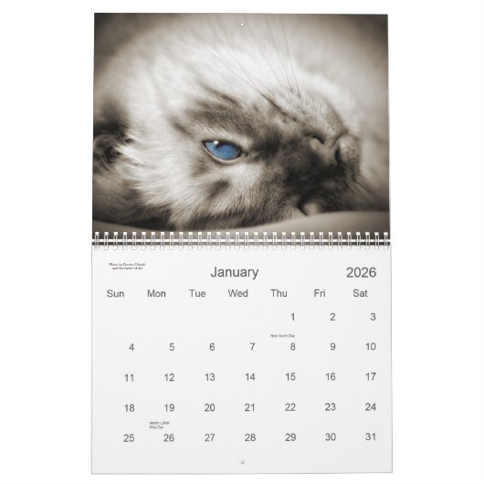 Cat Lover the Cat's Meow 12 Monate Kalender (Jan 2026)