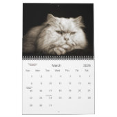 Cat Lover the Cat's Meow 12 Monate Kalender (Mär 2026)