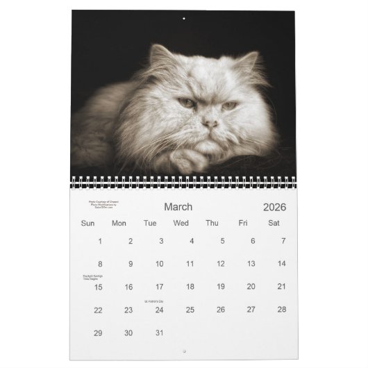 Cat Lover the Cat's Meow 12 Monate Kalender (Mär 2026)