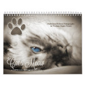 Cat Lover the Cat's Meow 12 Monate Kalender (Titelbild)