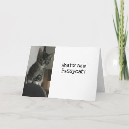 Cat Lover Was ist New Pussycat?Kätzchen Karte