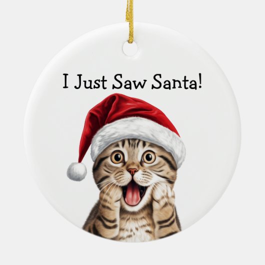 Cat Lover Weihnachtsgeschenk Katze Ornament (Hinten)