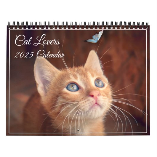 Cat Lovers Calendar Kalender (Titelbild)