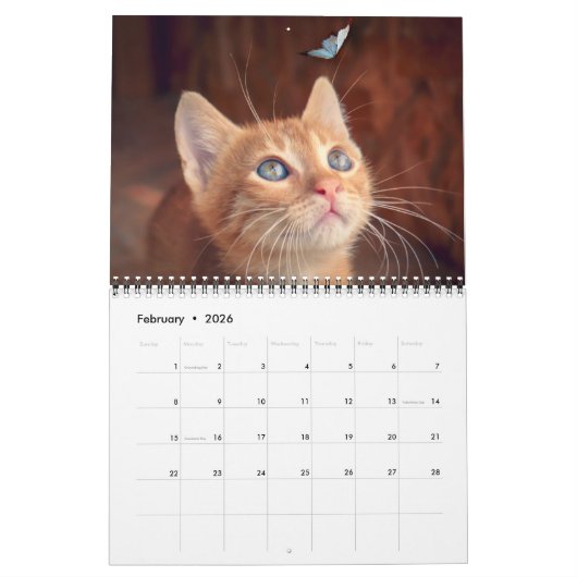 Cat Lovers Calendar Kalender (Feb 2026)