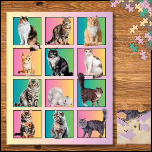 Cat Lover's Colour Block Collage Pastel Puzzle