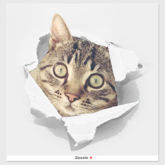 Cat Lovers Face Fun Aufkleber (Blatt)