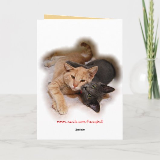 Cat Lovers Happy Anniversary Card Karte (Rückseite)