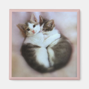 Cat Lovers Magnet