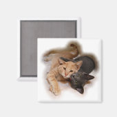Cat Lovers Magnet (Vorderseite/Rückseite)