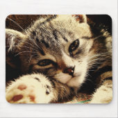 Cat Lovers Mousepad (Vorne)