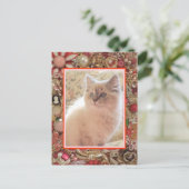 Cat Lover's Vintages Foto-Design Postkarte (Stehend Vorderseite)