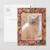 Cat Lover's Vintages Foto-Design Postkarte (Vorne/Hinten)